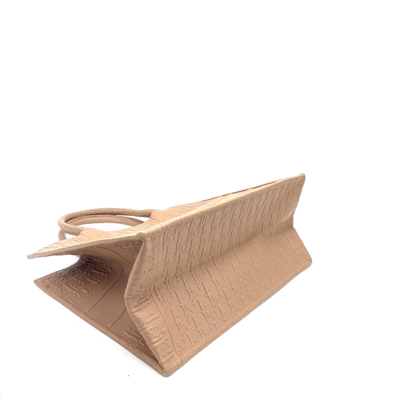 Dior Small Book Tote Oblique Canvas