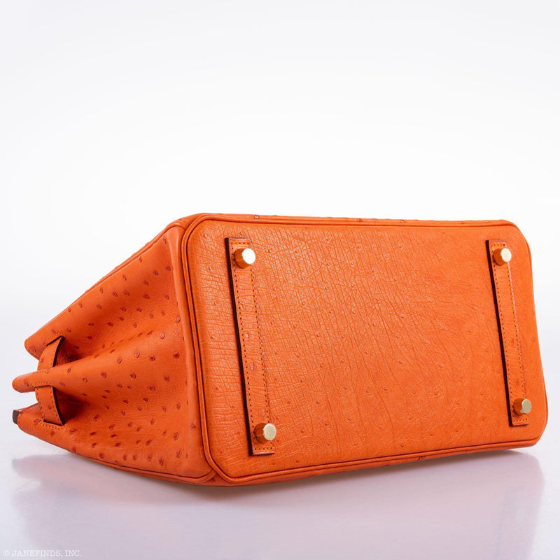 Close-up showing ostrich leather pores and texture